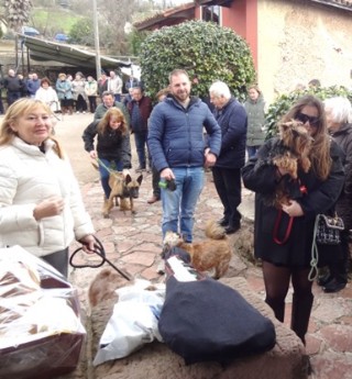 S haba animalillos. Y el jamn, negru enteru.